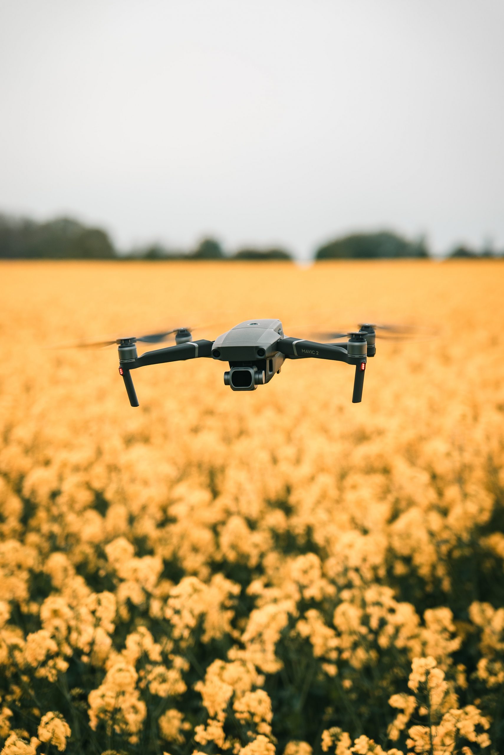 Drones are used in agriculture and farming for scanning and mapping fields, identifying disease and allowing farmers to make informed decisions.